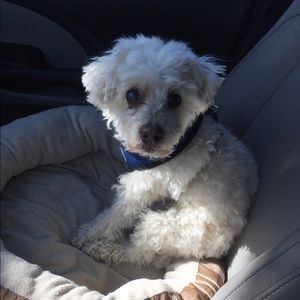 Meet your Posher, John